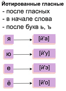 йотированные гласные